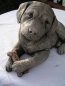 Preview: Labrador Welpe liegend - Labrador Pup laying