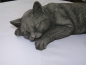 Preview: Katze liegend - Laying Cat