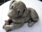 Preview: Labrador Welpe liegend - Labrador Pup laying