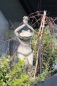 Preview: YOGA-FROSCH