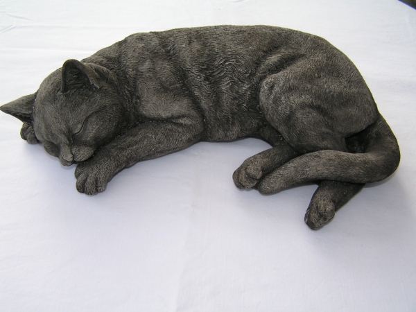 Katze liegend - Laying Cat