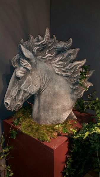 Pferdekopf - Horsehead