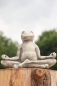 Preview: Yoga-Frosch