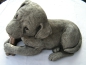 Preview: Labrador Welpe liegend - Labrador Pup laying