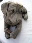 Preview: Labrador Welpe liegend - Labrador Pup laying