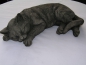 Preview: Katze liegend - Laying Cat