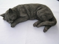 Mobile Preview: Katze liegend - Laying Cat