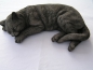 Preview: Katze liegend - Laying Cat