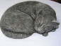 Preview: Katze schlafend - Sleeping Cat