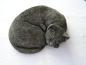 Preview: Katze schlafend - Sleeping Cat