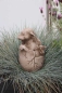 Preview: steingussfigur Acorn