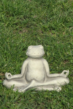 Yoga-Frosch