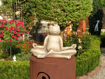 Yoga-Frosch