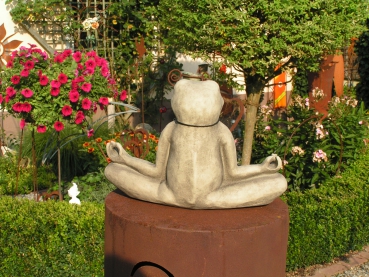 Yoga-Frosch