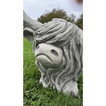 Westhighland Rind Archie