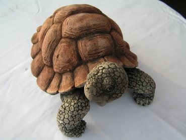 Schildkröte - Groß