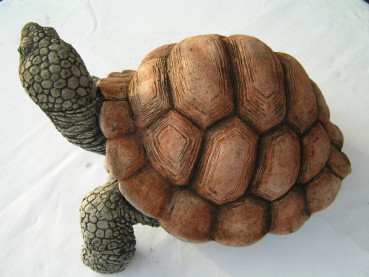 Schildkröte - Extra Groß