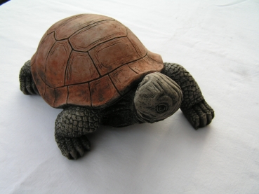 Schildkröte - Klein