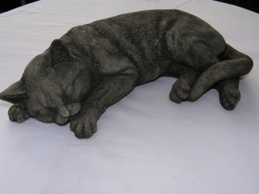 Katze liegend - Laying Cat