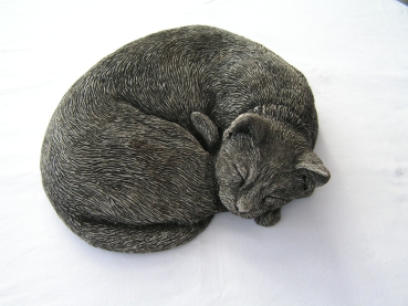 Katze schlafend - Sleeping Cat