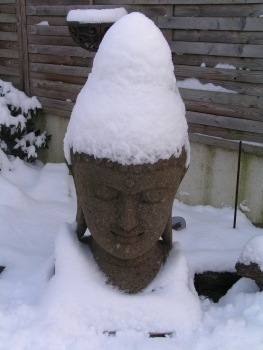 Buddha Büste