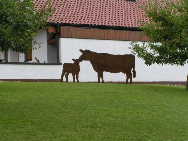 Kuh Kalb Rost Edelrost