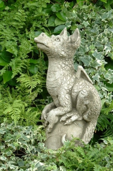 Drache 