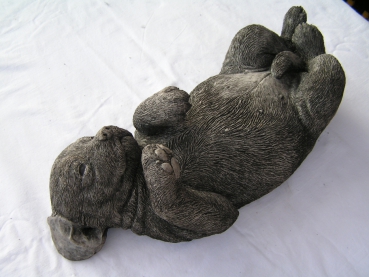 Labrador Welpe - Labrador Pup
