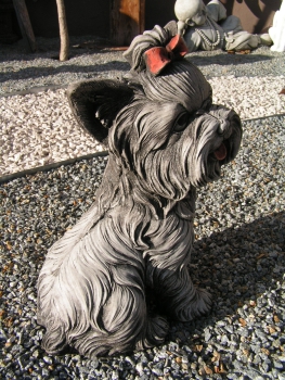 Yockshire Terrier
