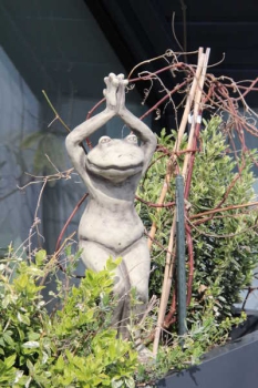 YOGA-FROSCH