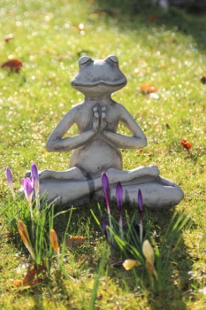 YOGA Frosch Lotus