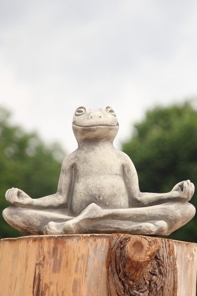 Yoga-Frosch