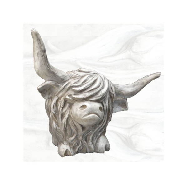 Westhighland Rind Archie