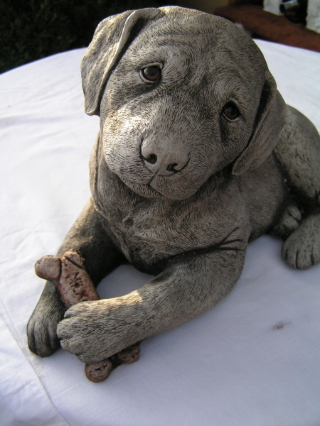 Labrador Welpe liegend - Labrador Pup laying