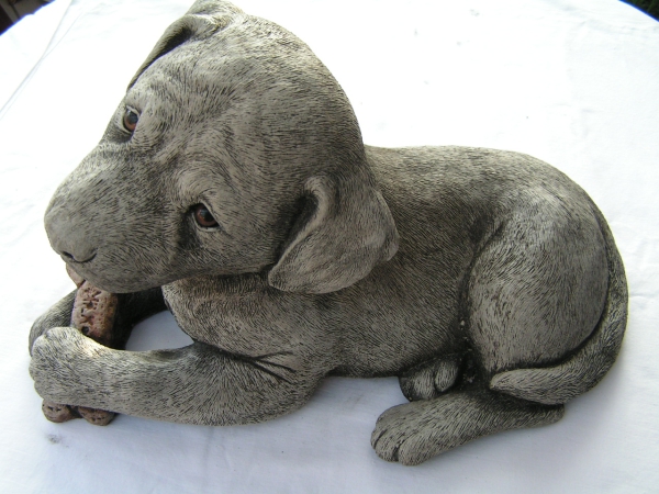 Labrador Welpe liegend - Labrador Pup laying