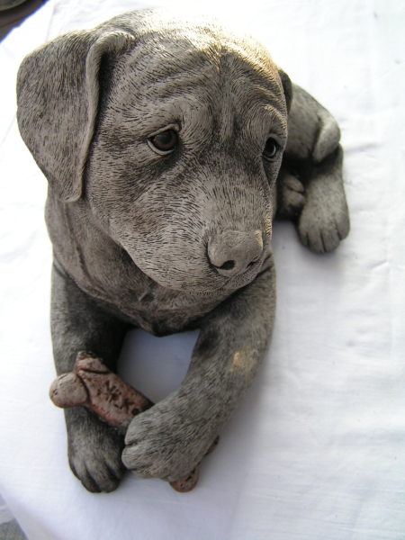 Labrador Welpe liegend - Labrador Pup laying