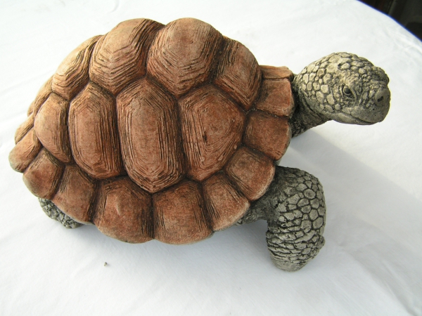 Schildkröte - Groß