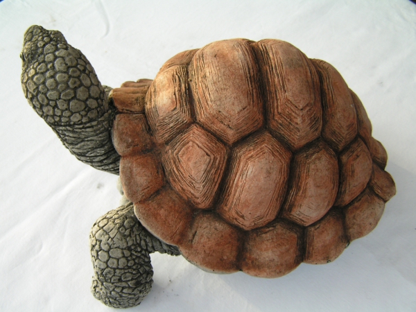 Schildkröte - Groß