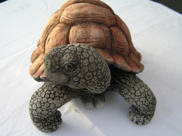 Schildkröte - Groß