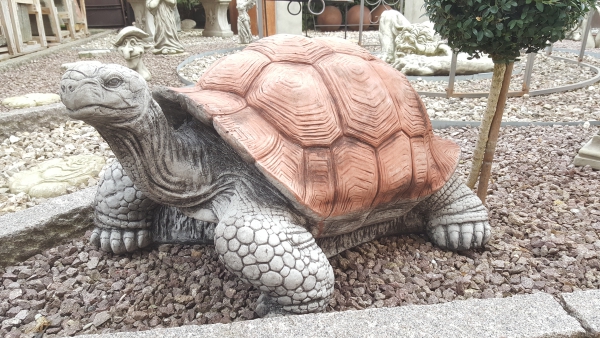 Schildkröte - Riesig