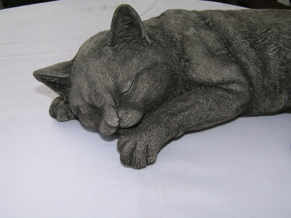 Katze liegend - Laying Cat