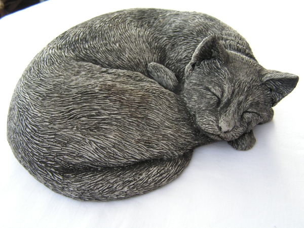 Katze schlafend - Sleeping Cat