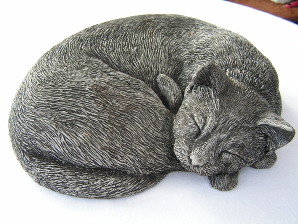 Katze schlafend - Sleeping Cat