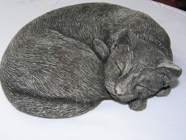 Katze schlafend - Sleeping Cat