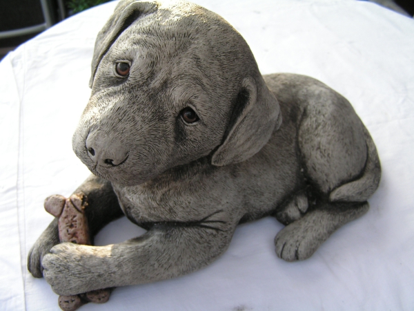Labrador Welpe liegend - Labrador Pup laying
