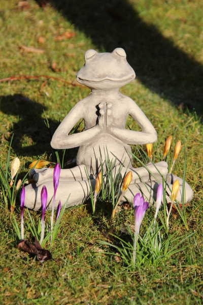 YOGA Frosch Lotus